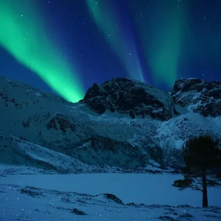 Troll Valley Lofoten Bøstad